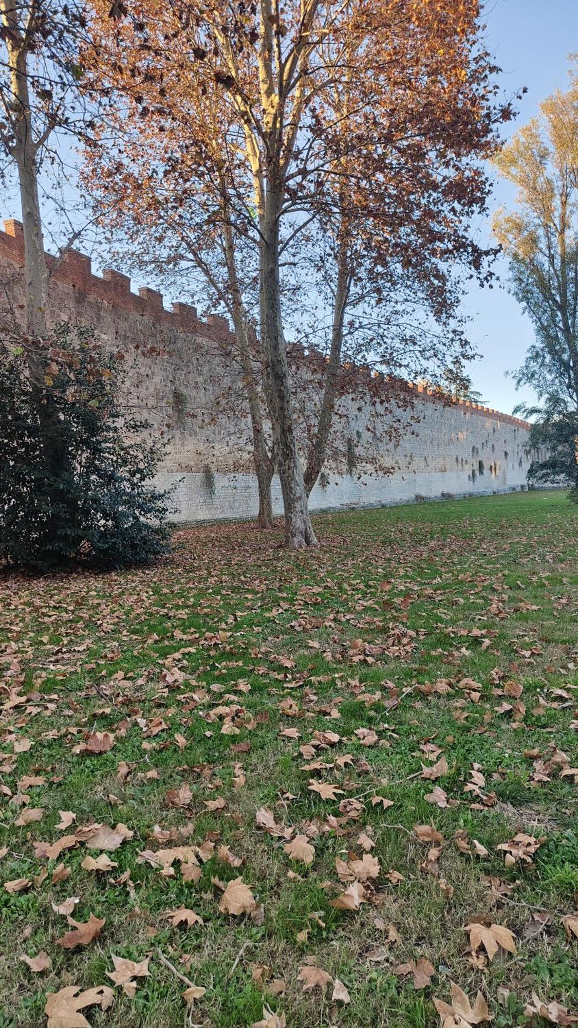 L'Angolo Di Galileo Pisa Eksteriør billede